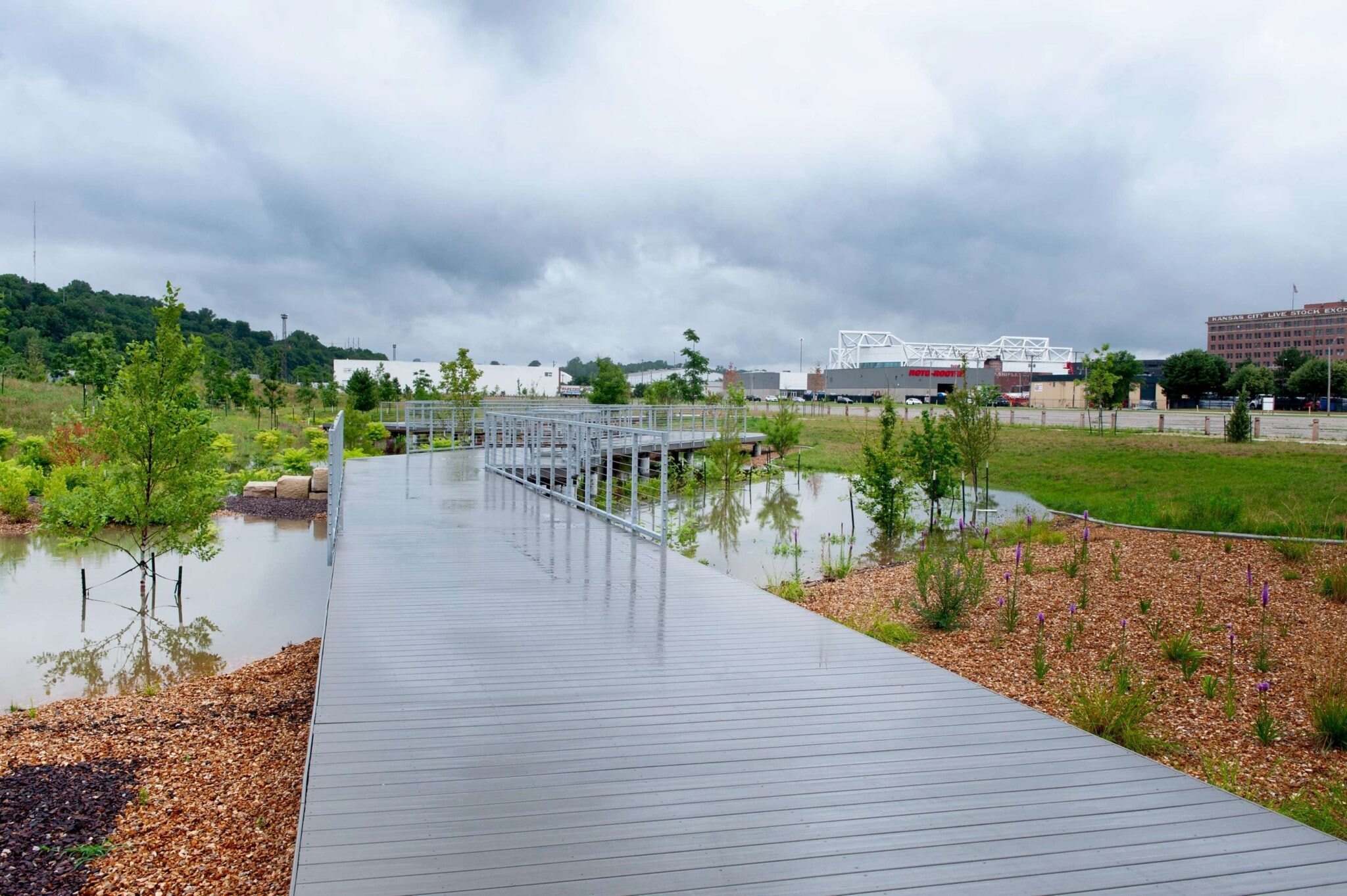 Cultivating Green Infrastructure