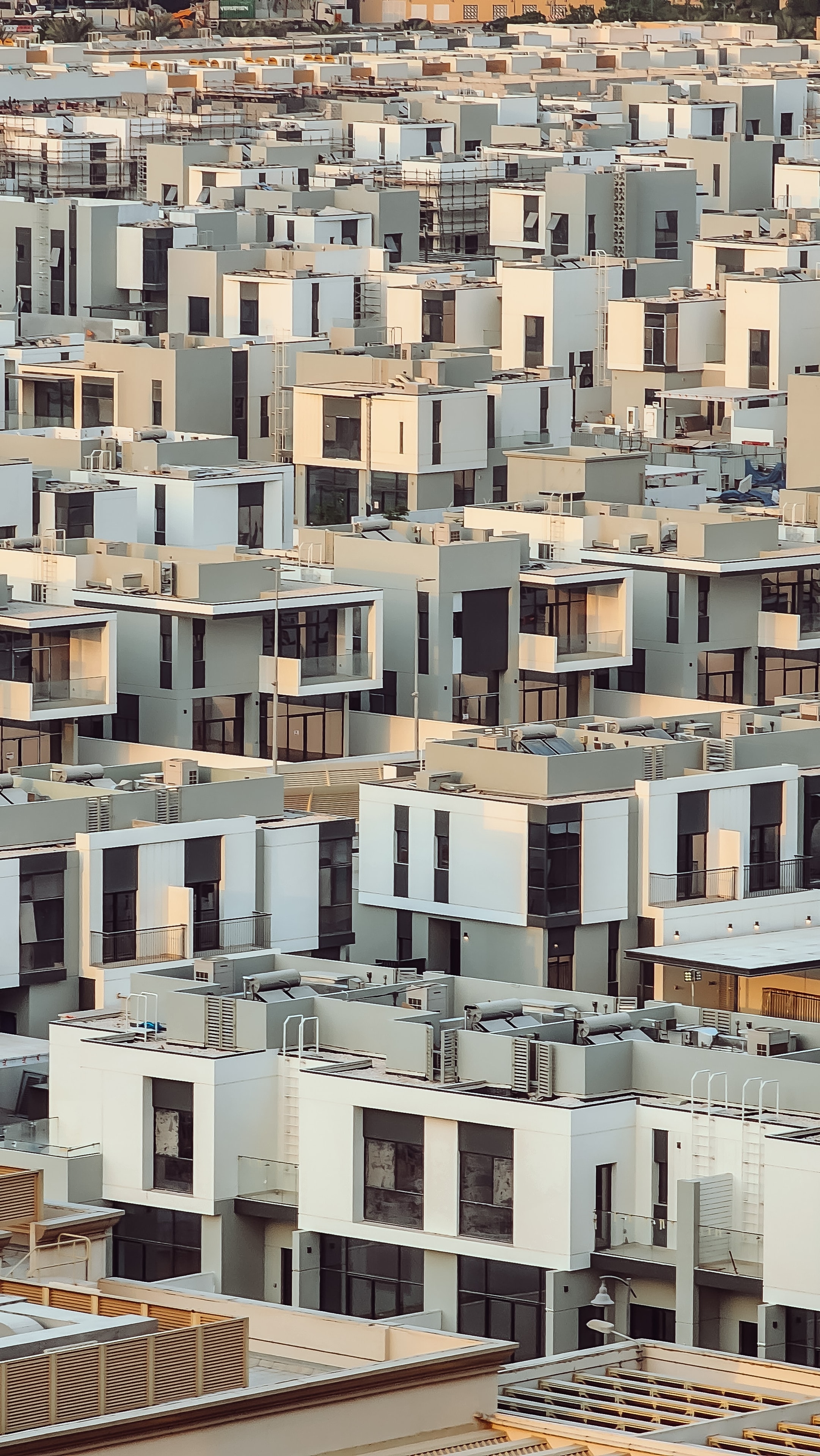AI Invades Real Estate